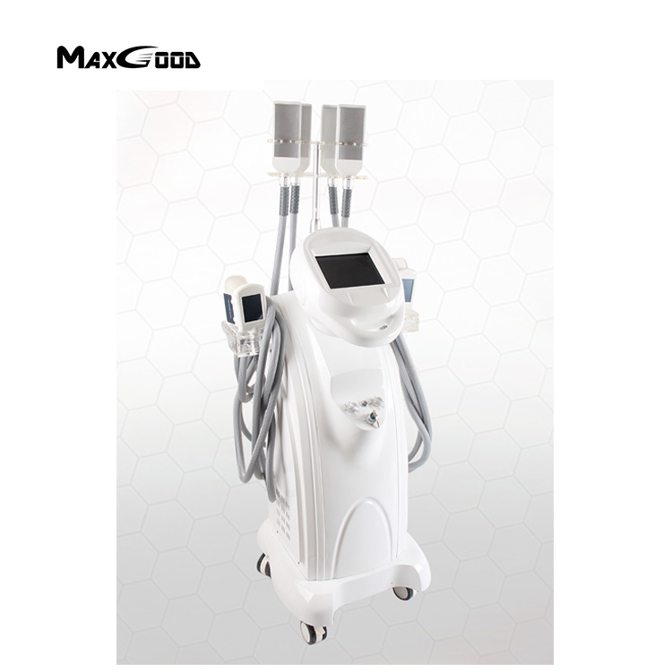 Anti Cellulite Massager 2 Vacuum Cryo Heads and 4 Pieces Cryo pads Body Slimming Machine
